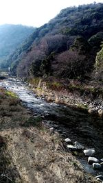 Scenic view of river in mountains against sky