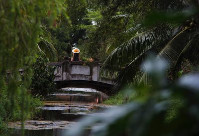 Bridge amidst trees and plants