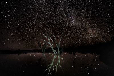 Close-up of illuminated star field against sky at night