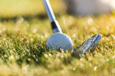 Golf ball on grass