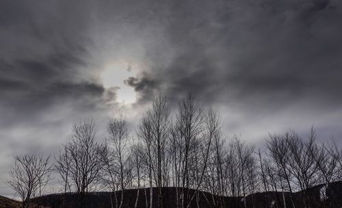 Low angle view of bare trees against sky