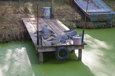 High angle view of abandoned truck on field