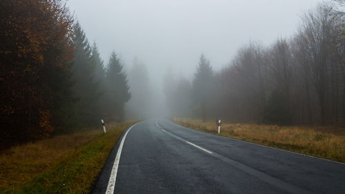 Country road amidst trees during foggy weather