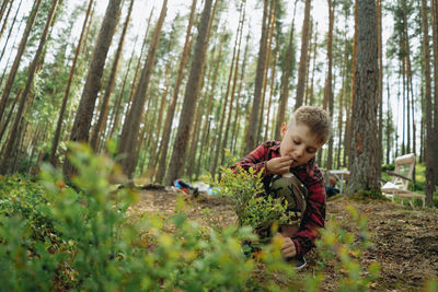 Side view of young woman standing amidst plants in forest