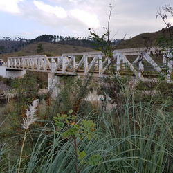 Arch bridge over river amidst field against sky