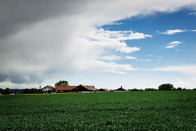 Scenic view of agricultural field against sky