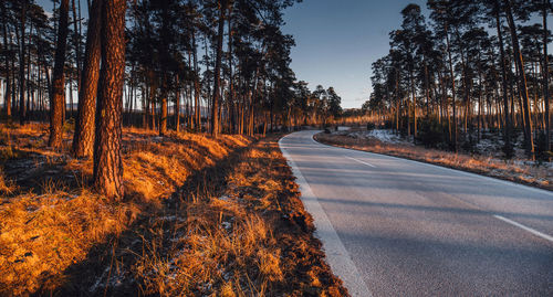 Road amidst trees in forest against sky during autumn