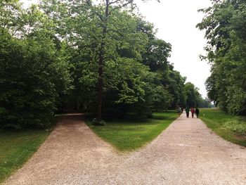 Man walking on road amidst trees