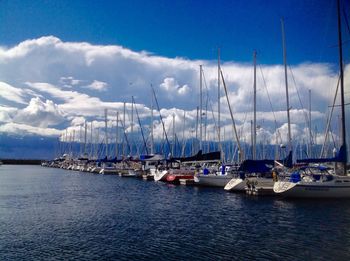 Sailboats moored in harbor