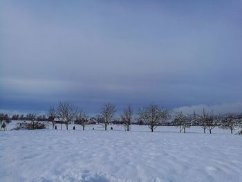 Bare trees on snow covered landscape against sky