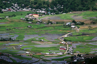 Aerial view of trees on field