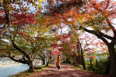 Man standing by trees during autumn