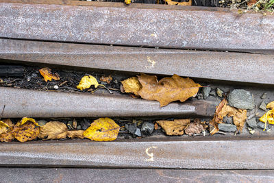 High angle view of yellow leaves on railroad track