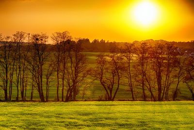 Scenic view of field against sky during sunset