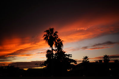 Silhouette palm trees against scenic sky