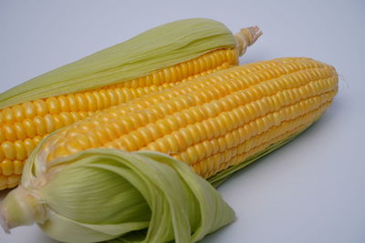 High angle view of vegetables on table against white background