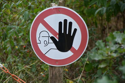 Close-up of road sign against plants