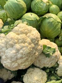 Close-up of vegetables for sale in market