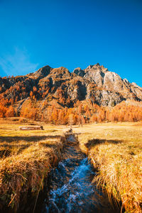 Scenic view of landscape against clear blue sky