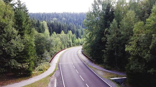 Empty road amidst trees in forest