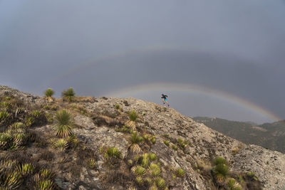 One man trail running up on a rock under a double rainbow