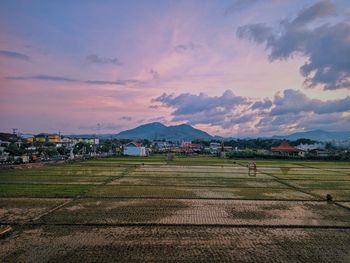 Scenic view of field against sky during sunset