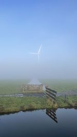 Green grass and fog