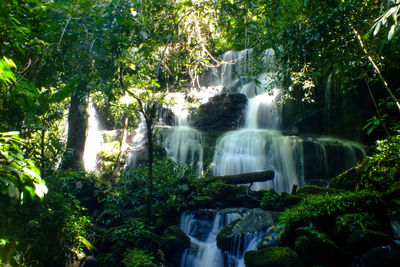 Low angle view of waterfall in forest