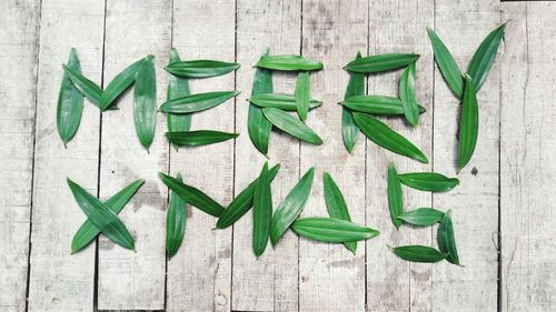 High angle view of leaves on wood