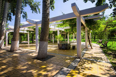 Footpath amidst trees in park