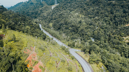 High angle view of road amidst trees