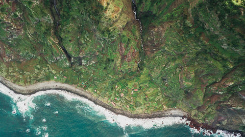 High angle view of trees by sea