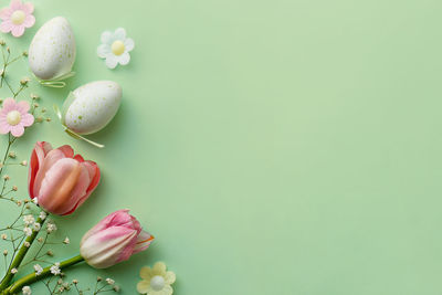 Directly above view of easter eggs and tulips on green background