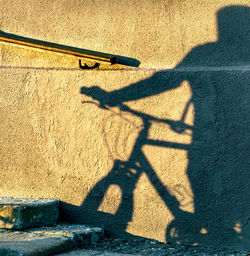 Shadow of person holding bicycle on sunny day