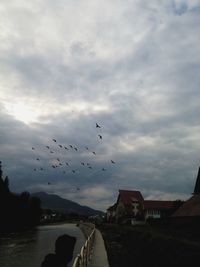 Birds in sea against cloudy sky