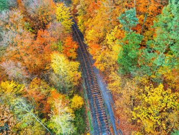 High angle view of railroad tracks amidst trees during autumn