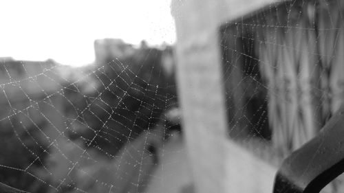 Close-up of spider web against sky