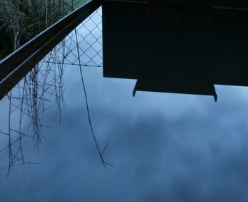 Low angle view of tree against sky