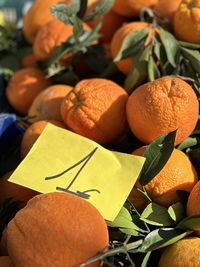 Close-up of oranges on table