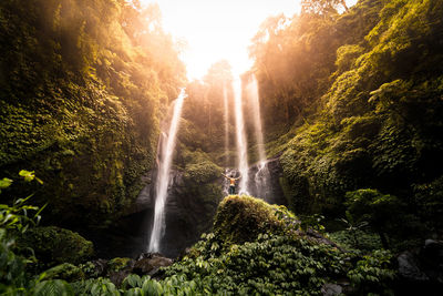 View of waterfall in forest