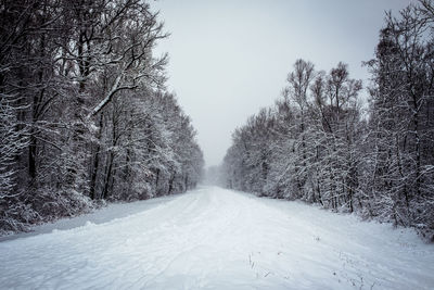 Road amidst trees against clear sky during winter