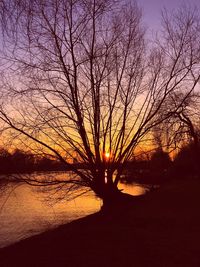 Silhouette bare trees on landscape against sky during sunset