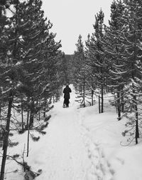 People walking on snow covered landscape