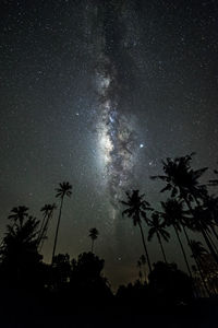 Low angle view of silhouette trees against sky at night