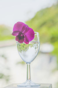 Close-up of purple glass on table