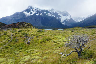 Scenic view of field and mountains against sky