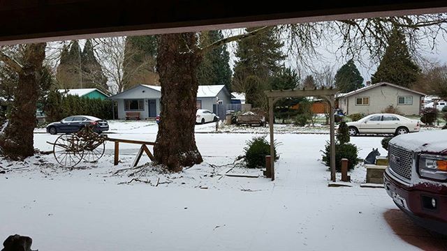 snow, winter, tree, cold temperature, car, building exterior, land vehicle, architecture, transportation, built structure, season, house, mode of transport, weather, covering, bare tree, day, residential structure, street, stationary