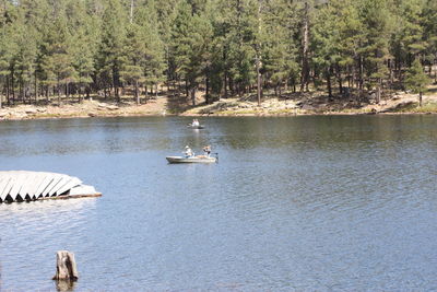 Scenic view of lake in forest