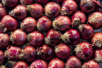 Detail shot of onions