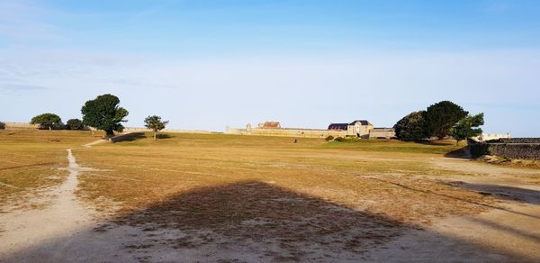 Trees and houses on field against sky